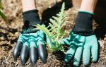 Gants avec des conseils spéciaux pour la plantation Сarden Сenie Gants